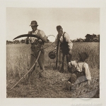 'In The Barley Harvest', 1888.